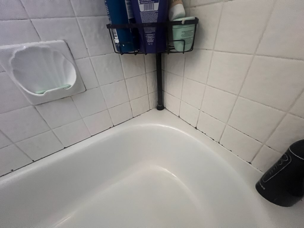 Dark moldy grout lines in bathroom tile - grout refinishing restores appearance